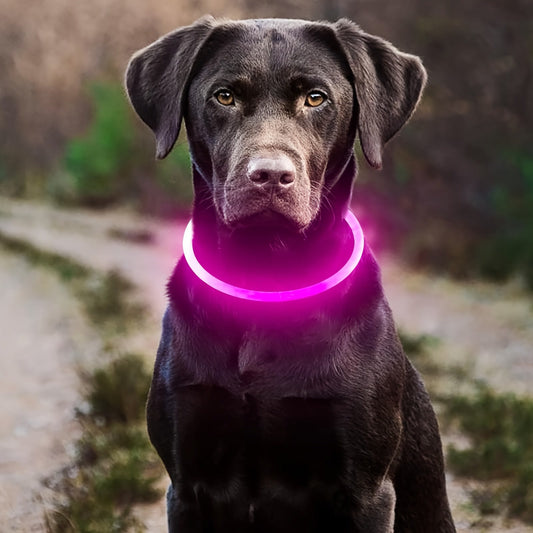 LED Dog Collar: USB Rechargable